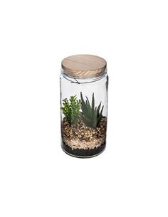 Κάκτοι σε γυαλ.terrarium...