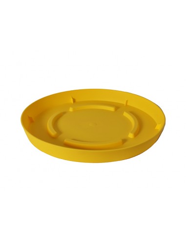 Πιάτο Φ14.7Χ2εκ. YELLOW/KITPINO