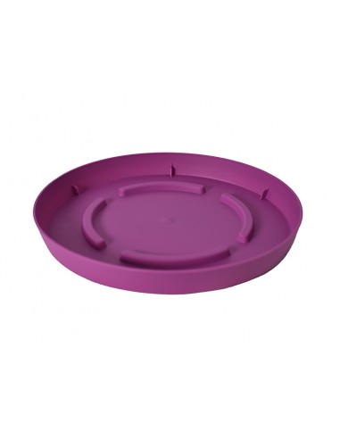 Πιάτο Φ23Χ2.7εκ. VIOLET/BIOΛETI