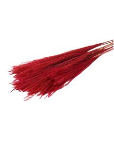 PAMPAS FLUFFY 10pc RED
