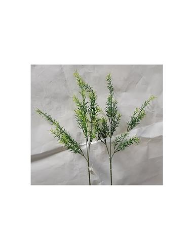 Κλαδί πρασινάδα Η67cm
