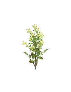 Prunus κλαδί κίτρινο