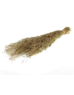 MUNNI GRASS 100GR NATURAL