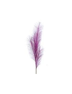 Κλαδί Pampas μωβ 80cm