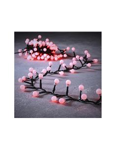 Λαμπάκια snake berry...