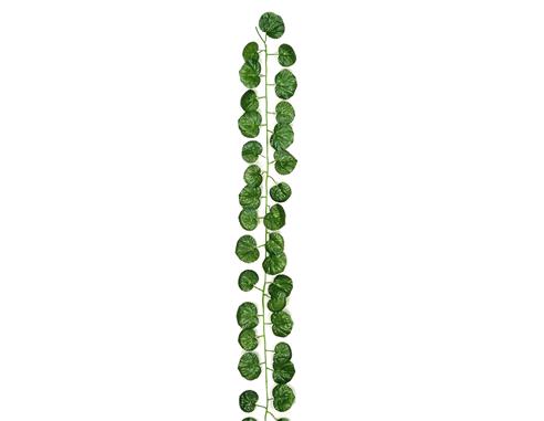 ΓIPΛANTA ΓEPANI 1.90M