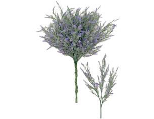 Λεβάντα κλαδί