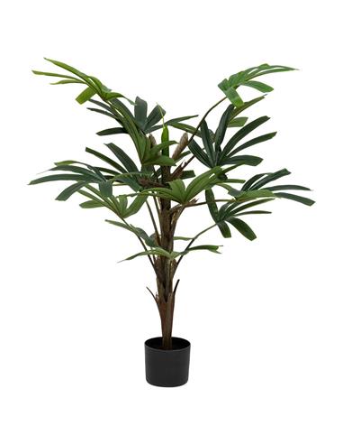 Bamboo πρασινάδα σε κασπώ 120εκ.