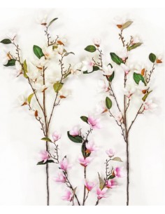 KΛAΔI MANΩΛIA 95cm