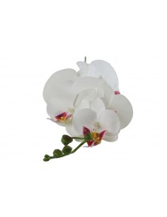 Ορχιδέα κλαδί  λευκή Η83cm 2
