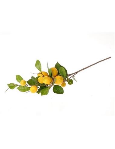 Κλαδί λεμονιάς Η 90cm