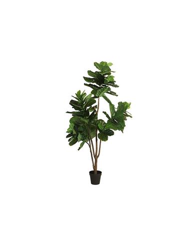Φύκος σε κασπώ 230cm