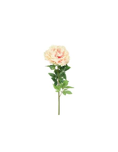 Κλαδί παιώνια ροζ Η73cm