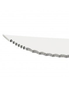 Μαχαίρι steak PLENUS 12.5εκ. 2