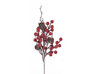 Κλαδί berries με...