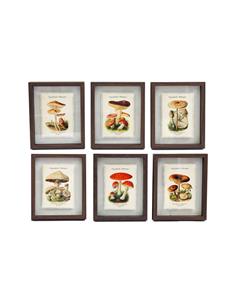 Κάδρο  MUSHROOMS 6σχ. 21x26cm