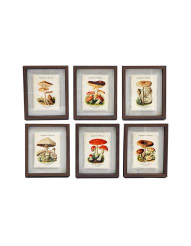 Κάδρο  MUSHROOMS 6σχ. 21x26cm