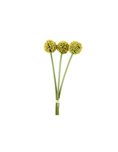 Allium κίτρινο Χ3  55εκ.