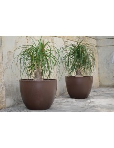 Γλάστρα πλαστ.BOWL LEATHER... 2
