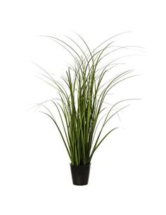 Φυτό σε κασπώ  Φ9,5Η58cm
