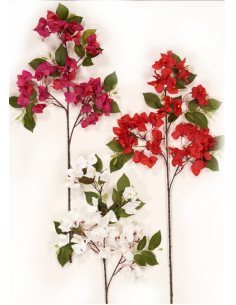 Κλαδί βουκαμβίλια 75cm