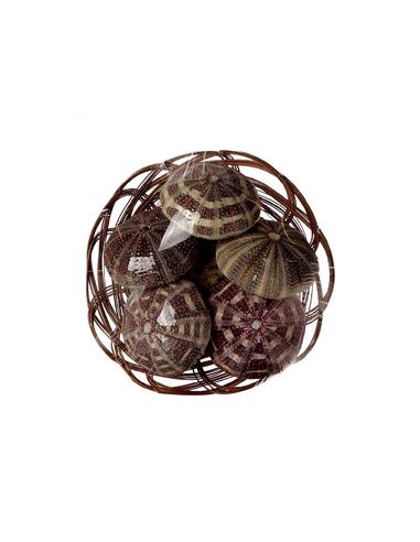 Αχινοί σε καλάθι 6pcs Φ7,5cm