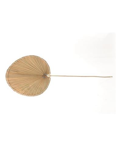κλαδί φοίνικα 36Χ105 cm