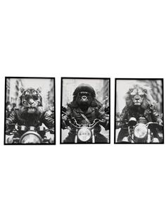 Κάδρο "ANIMAL BIKE"...
