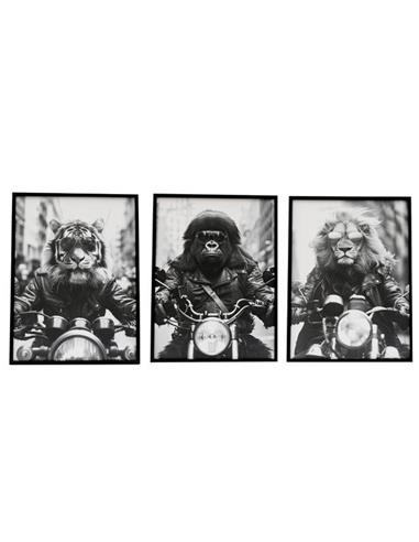 Κάδρο "ANIMAL BIKE" /3σχέδια 45x60cm