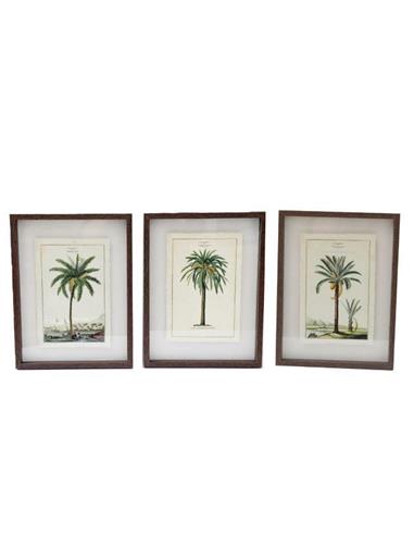 Κάδρο "Palm" 3σχέδια 30x40 cm