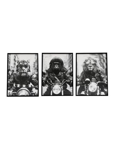 Κάδρο "ANIMAL BIKE" /3σχέδια 20x25cm