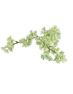 Prunus κλαδί λευκό 2