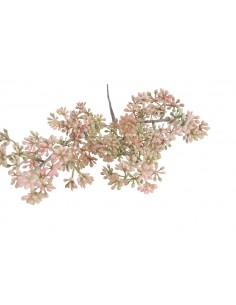 Prunus κλαδί ροζ 2