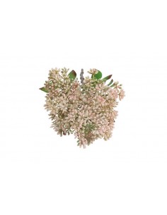 Prunus κλαδί ροζ 2
