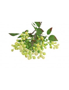 Prunus κλαδί κίτρινο 2