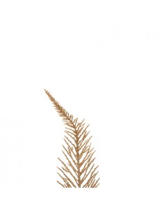 Κλαδί φτέρη χρυσή Η75cm 2