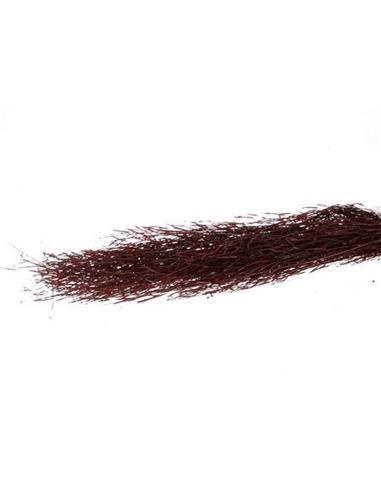 Saras grass 100gr