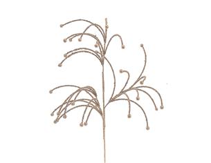 Κλαδί σαμπανιζέ Η80cm