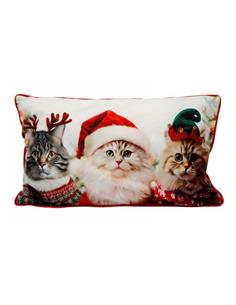μαξιλάρι CAT w/HAT 50Χ30