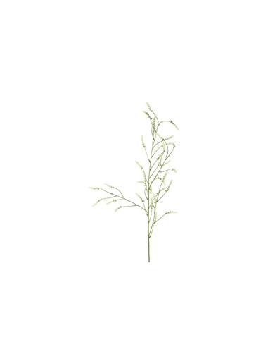 Melilotus κλαδί λευκό 115εκ.