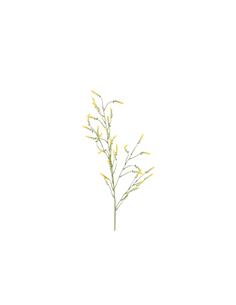 Melilotus κλαδί κίτρινο 115εκ.