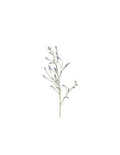 Melilotus κλαδί μωβ 115εκ.