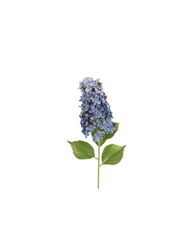 Ορτανσία Paniculata κλαδί μπλε 83εκ.