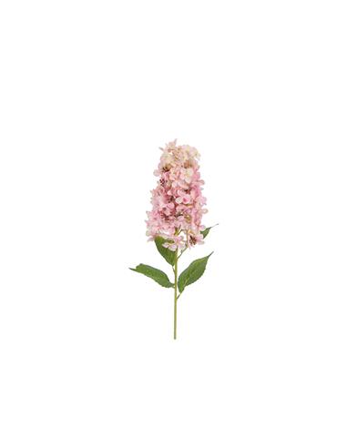 Ορτανσία Paniculata κλαδί ροζ 83εκ.