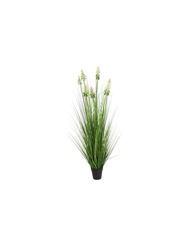 Neobartsia λευκή σε κασπώ 120εκ.