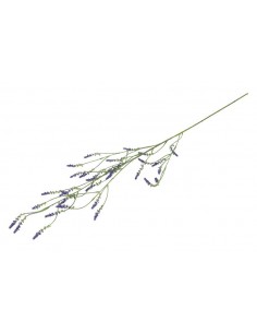 Melilotus κλαδί μωβ 115εκ. 2