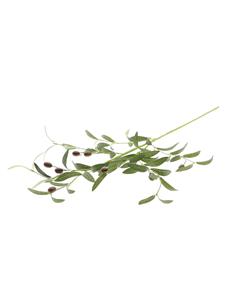 Κλαδί ελιάς Η90cm