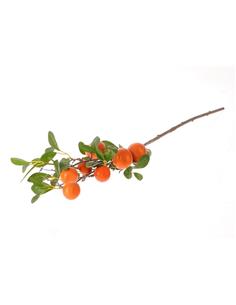 Κλαδί πορτοκαλιάς Η80cm