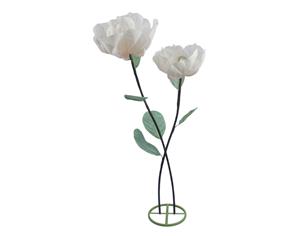 Λουλούδια Magnolia λευκό σε...