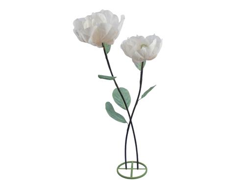 Λουλούδια Magnolia λευκό σε βάση...